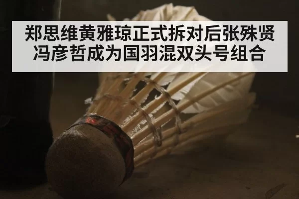 郑思维黄雅琼正式拆对后张殊贤冯彦哲成为国羽混双头号组合